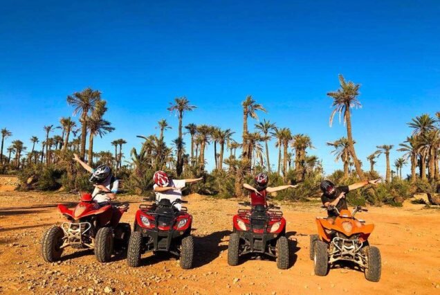 Half Day Quad Palmeraie Marrakech