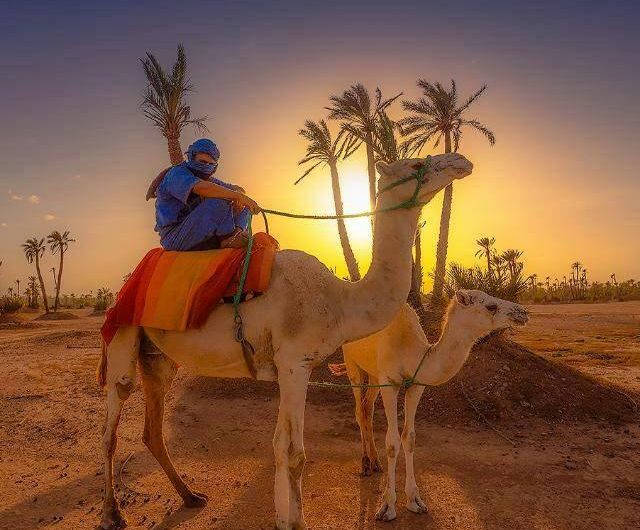 Sahara Desert Private Tour - trekking in Morocco