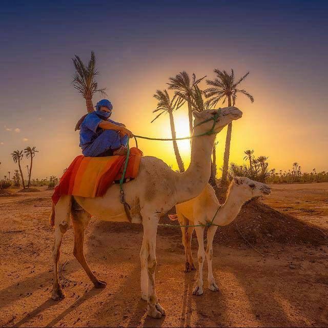 Sahara Desert Private Tour - trekking in Morocco