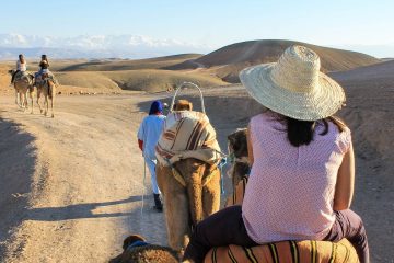 Camel Ride Agafay Desert