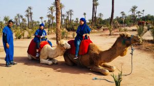 trekking in Morocco Private Camel ride Palmeraie Marrakech 