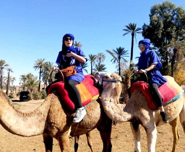 Camel ride Palmeraie Marrakech