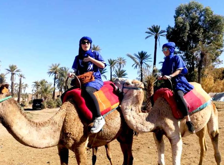 Best trip palmeraie Marrakech camel ride