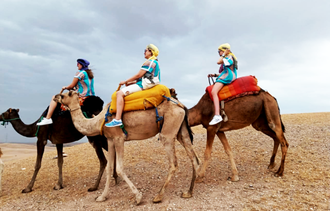Private Camel ride Agafay Desert