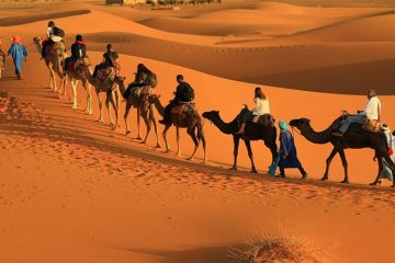 5 Days Desert Tour via Fés From Marrakech