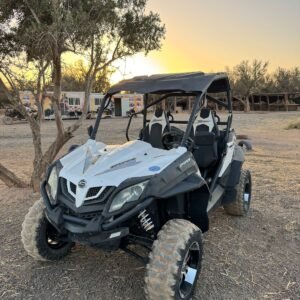 Buggy Adventure in the Palmeraie – Marrakech