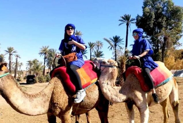 Camel ride Palmeraie Marrakech