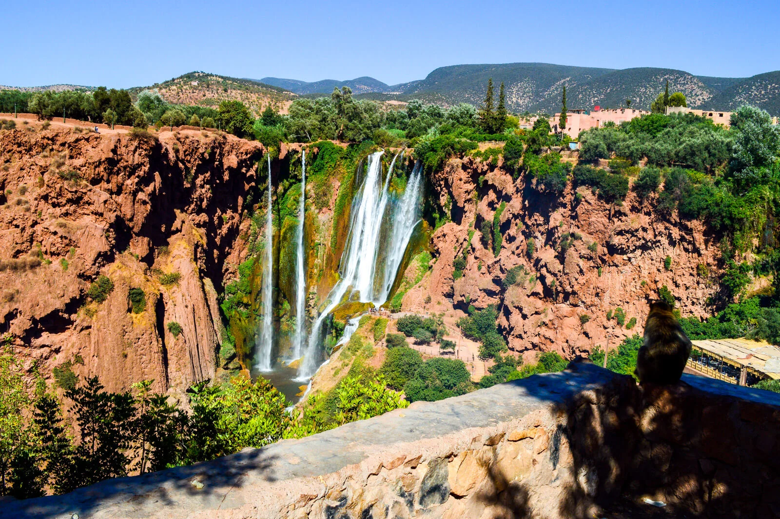 Ouzoud Waterfalls day trip in Morocco