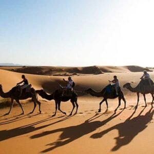 Zagora Desert Private Tour from Marrakech
