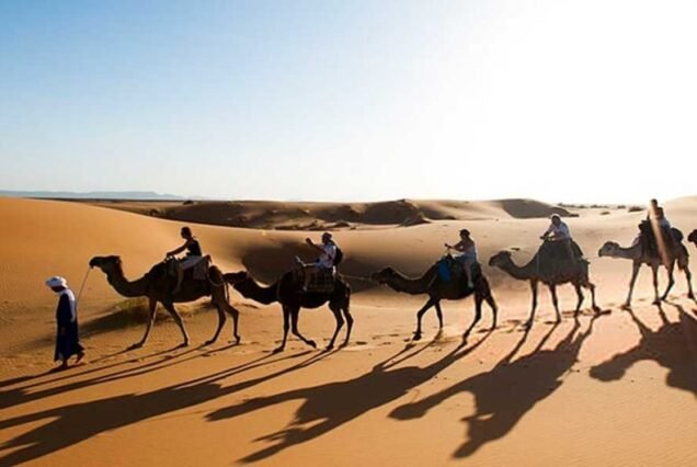 Zagora Desert Private Tour from Marrakech
