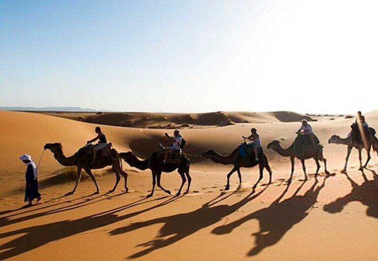 Zagora Desert Private Tour from Marrakech
