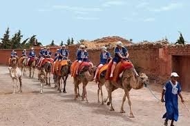 Camel Ride Experience in the Palmeraie – Marrakech
