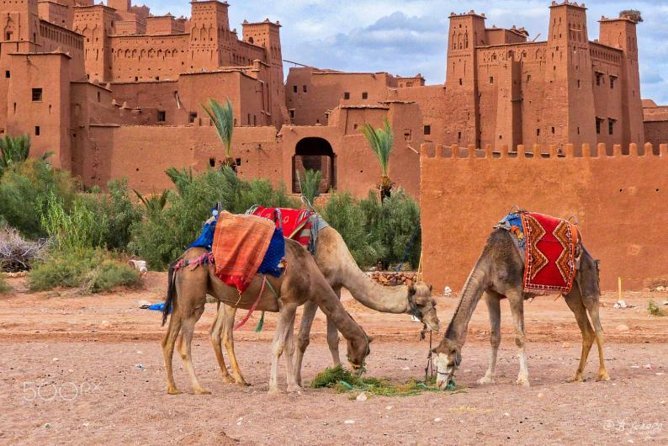 Ouarzazate & Aït Ben Haddou Day Trip from Marrakech