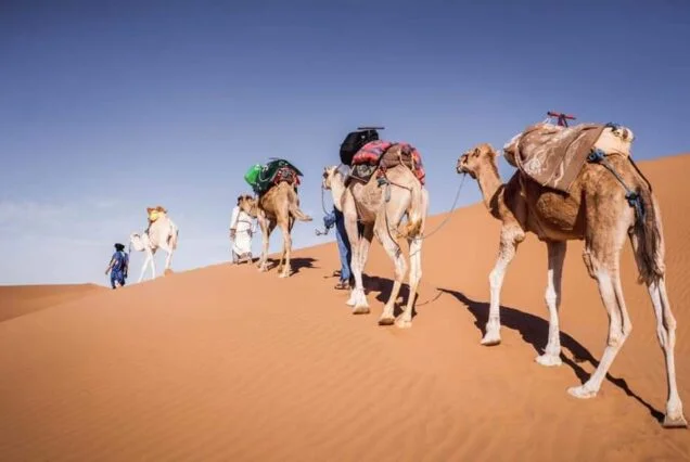 2 Days Zagora Desert Private Tour from Marrakech