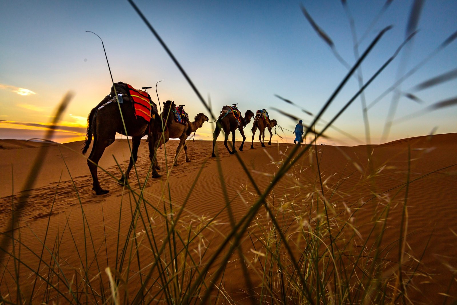 Agafay Desert Camel Ride from Marrakech