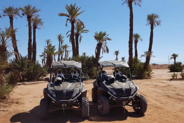 Buggy Adventure in Marrakech Palmeraie