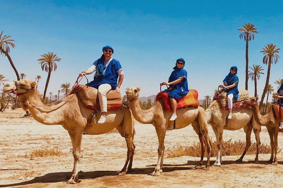 Camel Ride in Marrakech Palmeraie