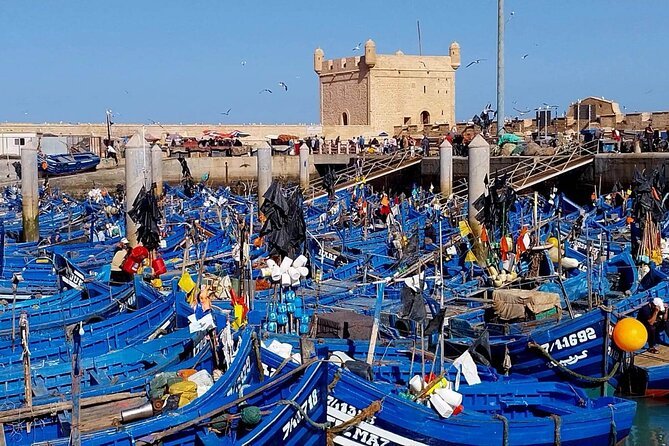 Essaouira Coast Group Day Trip