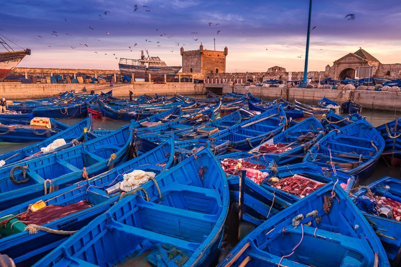 Essaouira Coast Group Day Trip