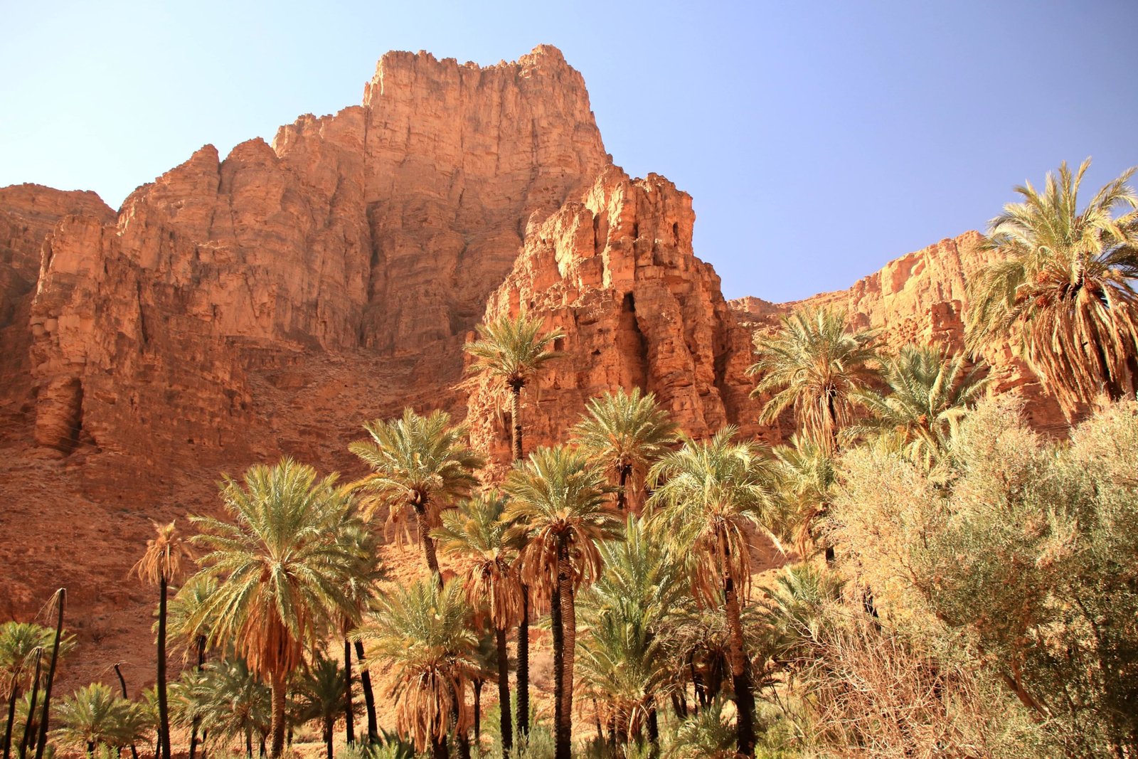 Agadir Day Trip from Marrakech