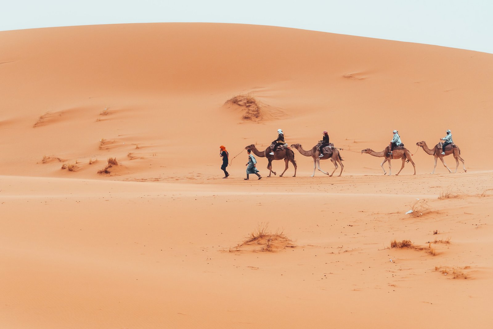 Zwin Travel Sahara Desert camel trek Morocco tours