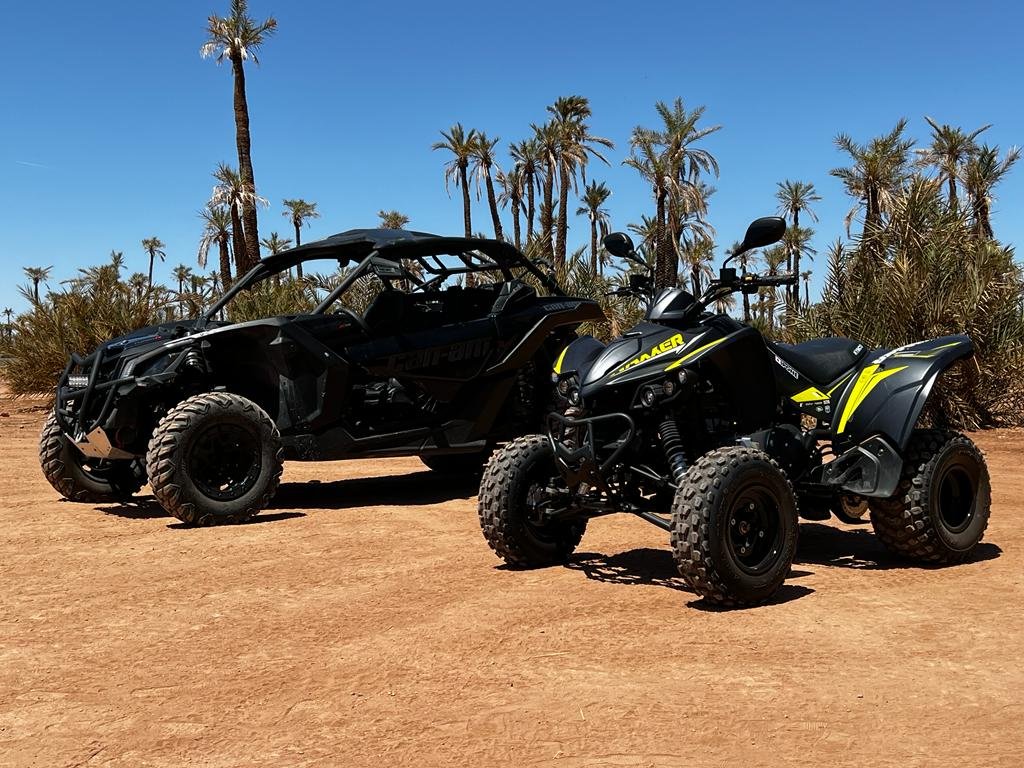 Buggy Adventure in Marrakech Palmeraie