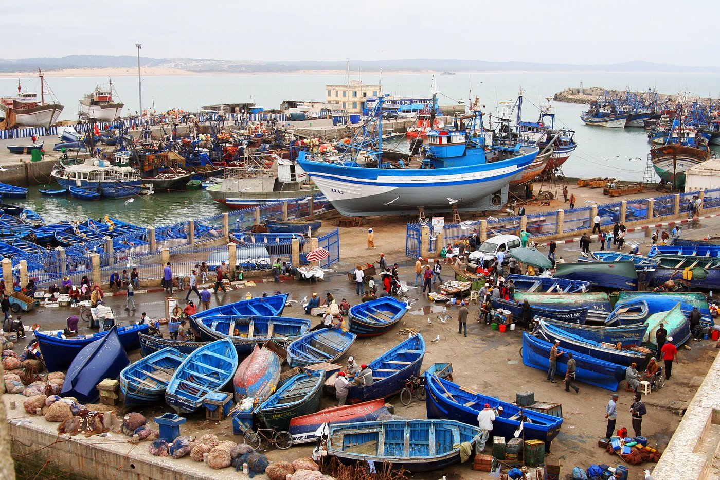 Essaouira Private Day Trip from Marrakech